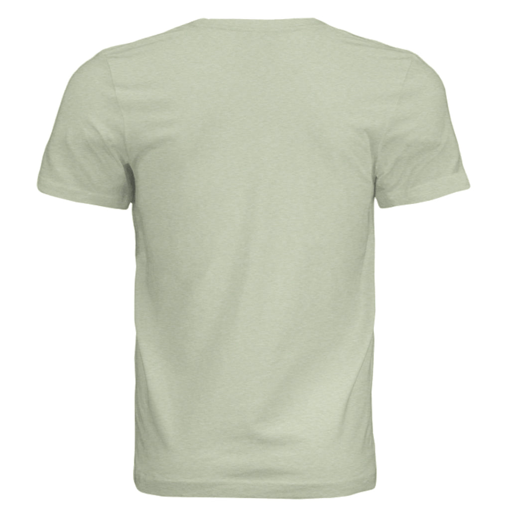 Spring Green Triblend - BACK