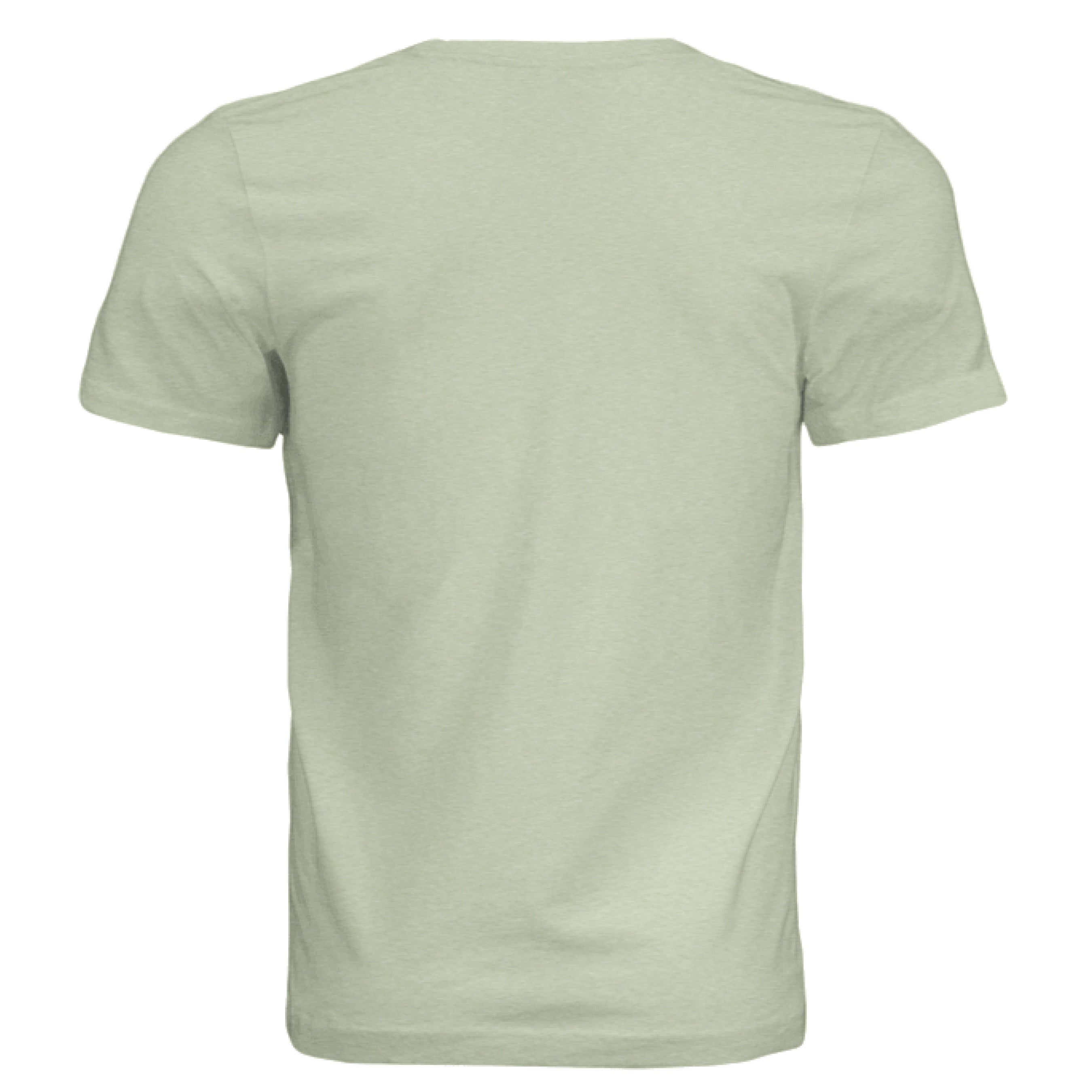 Spring Green Triblend - BACK