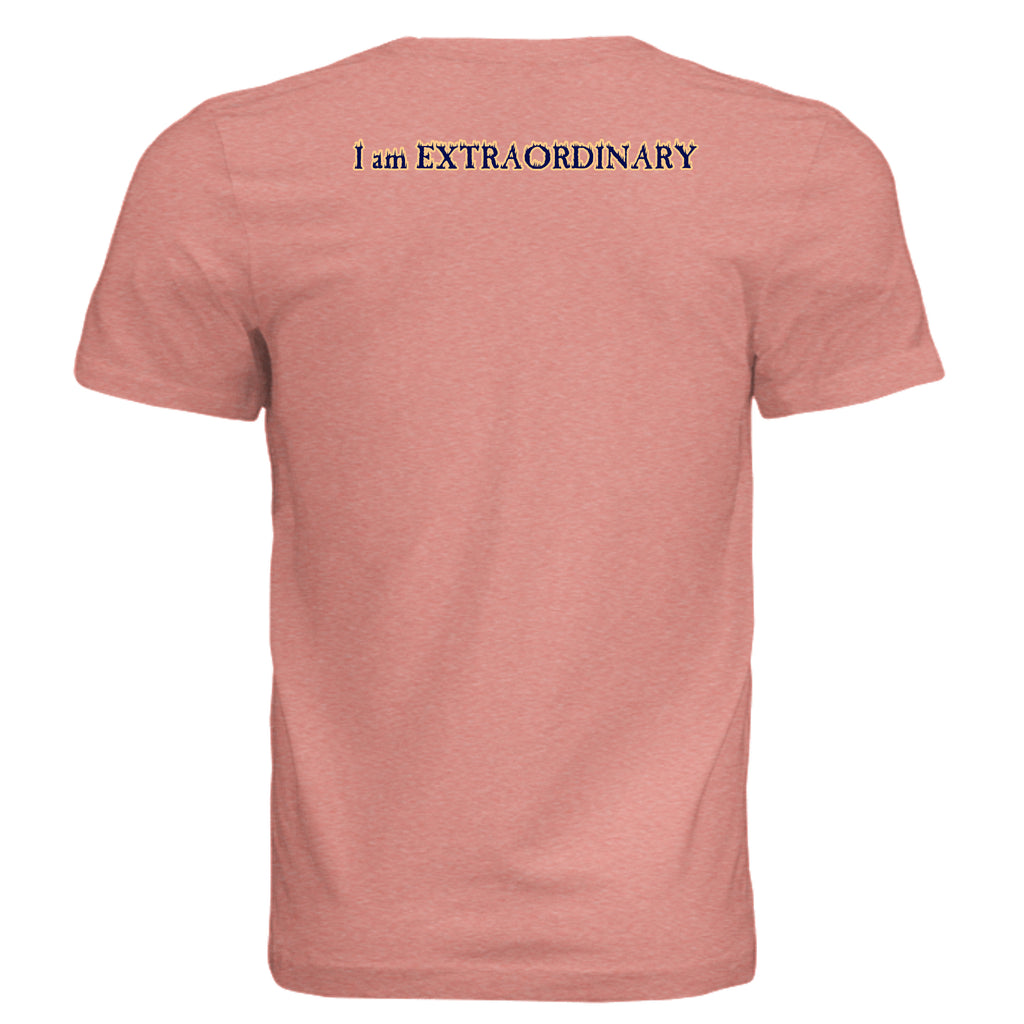 Sunset Triblend - 3413C - BACK