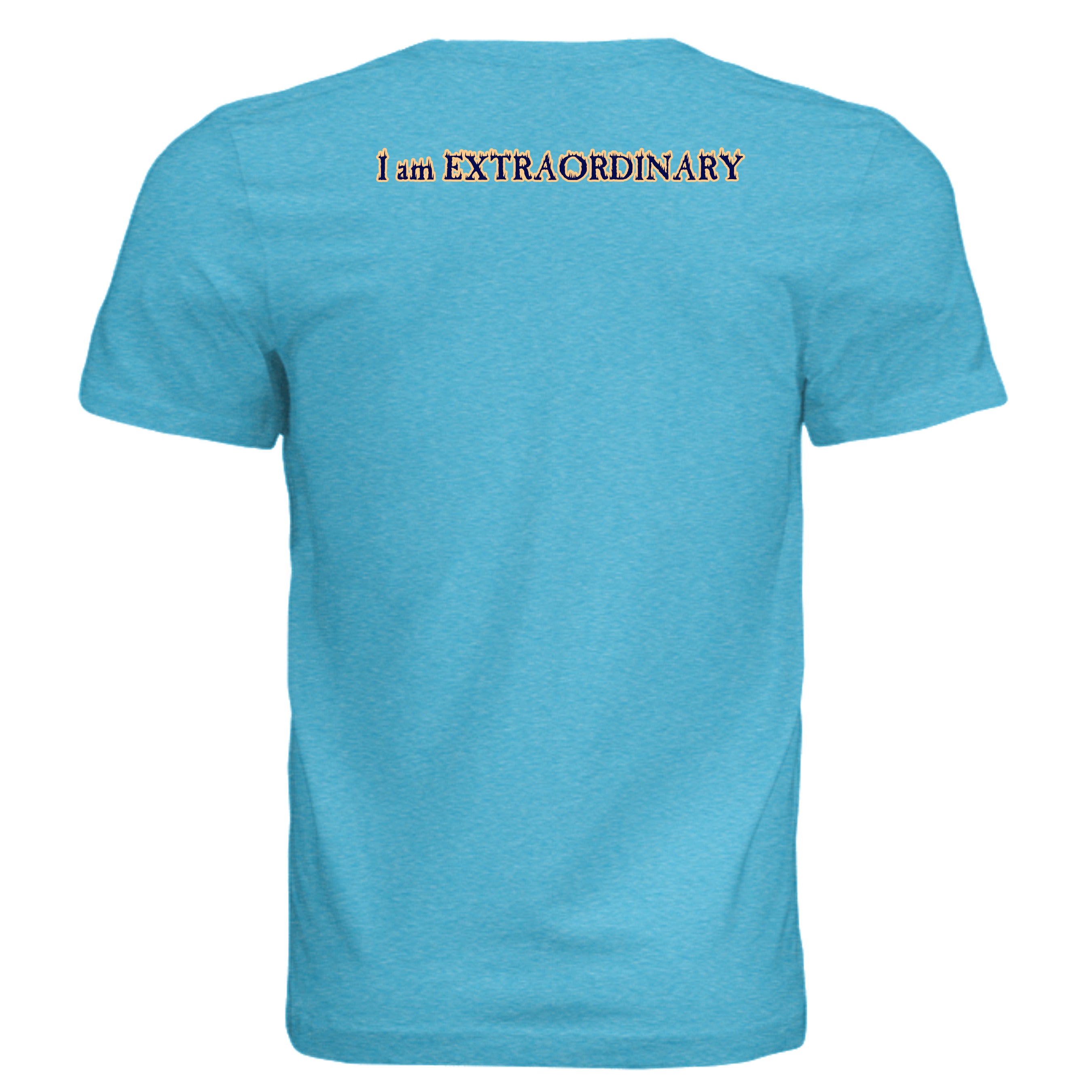 AQUA TRIBLEND - 3413C - BACK