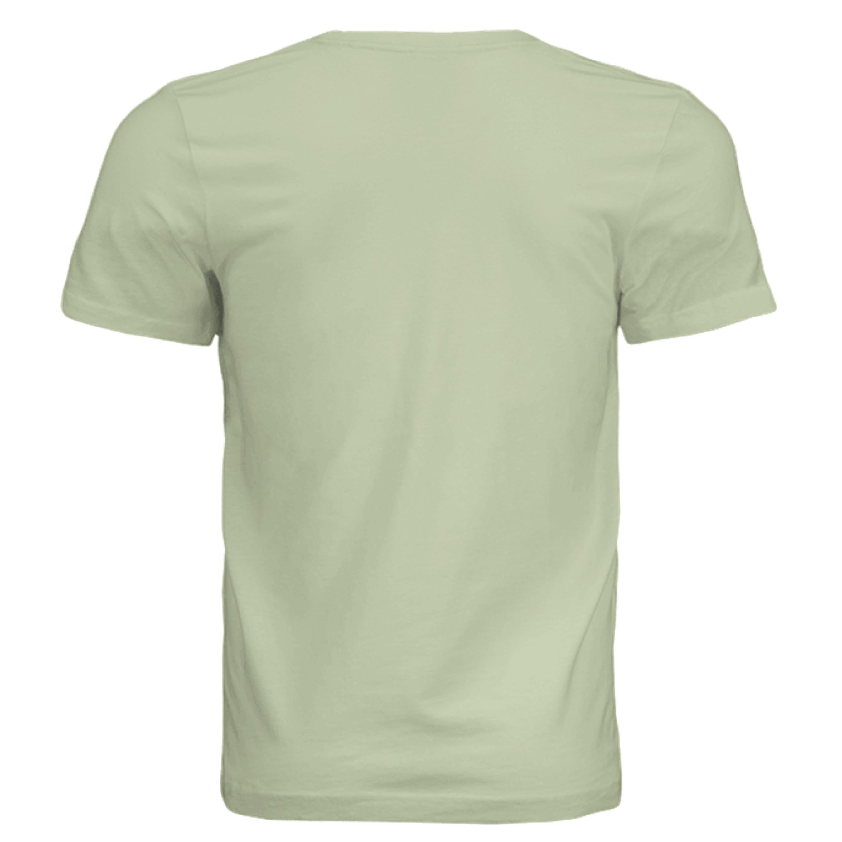 Spring Green Triblend - 3413C - BACK