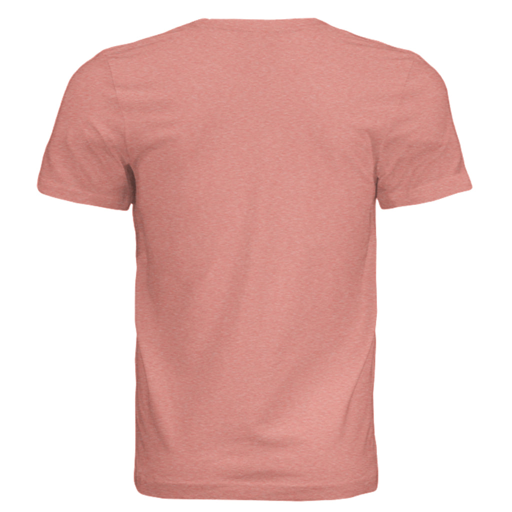 Sunset Triblend - 3413C - BACK